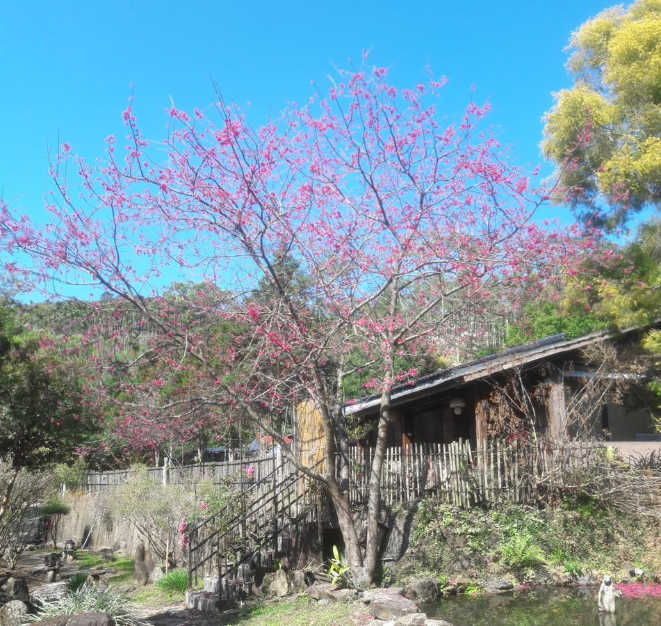 Bright Moon Homestay Dongshi  Exterior foto