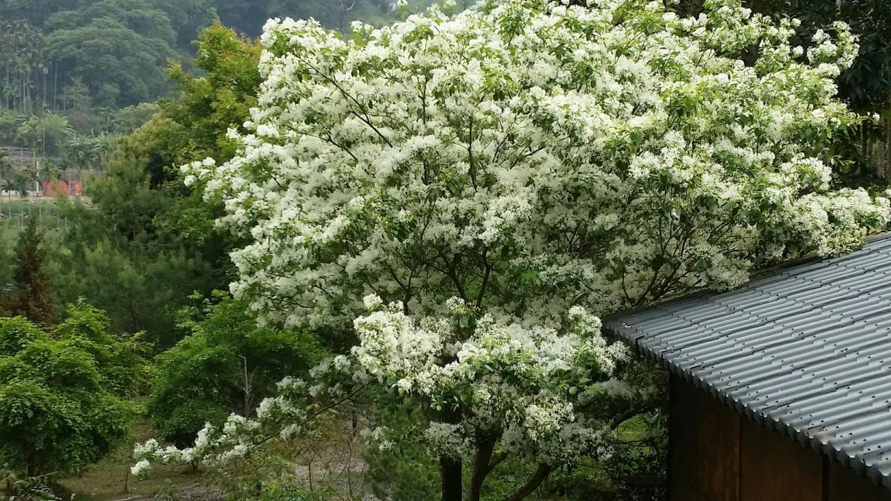 Bright Moon Homestay Dongshi  Exterior foto