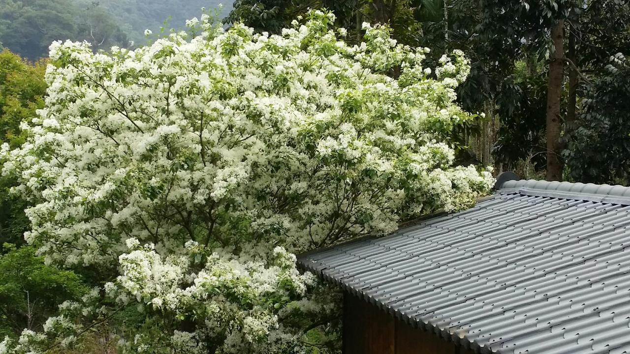 Bright Moon Homestay Dongshi  Exterior foto
