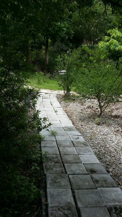 Bright Moon Homestay Dongshi  Exterior foto